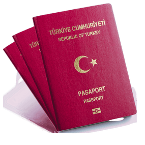 Türkischer Reisepass online